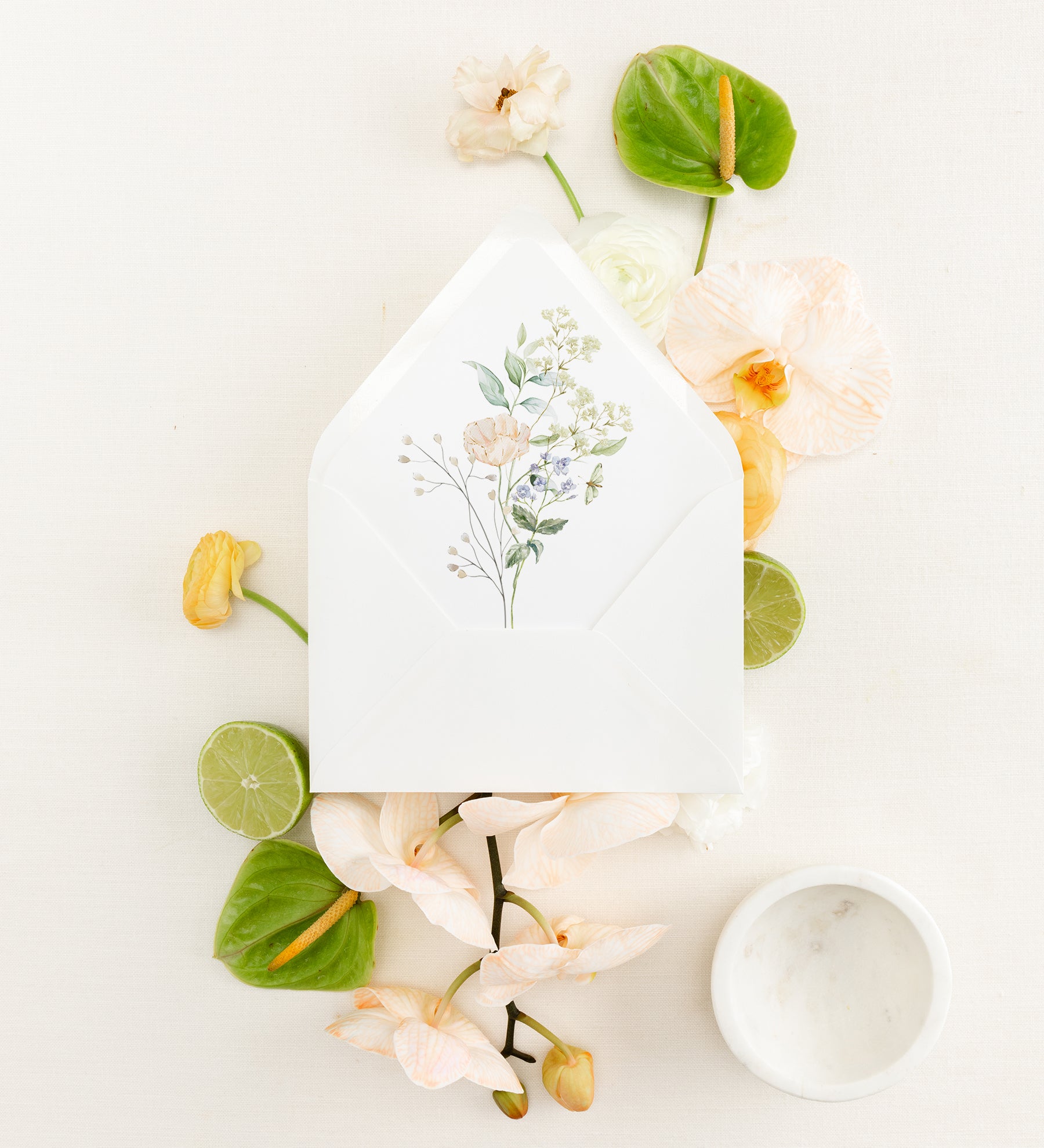 Papillon Konvolutt-liner